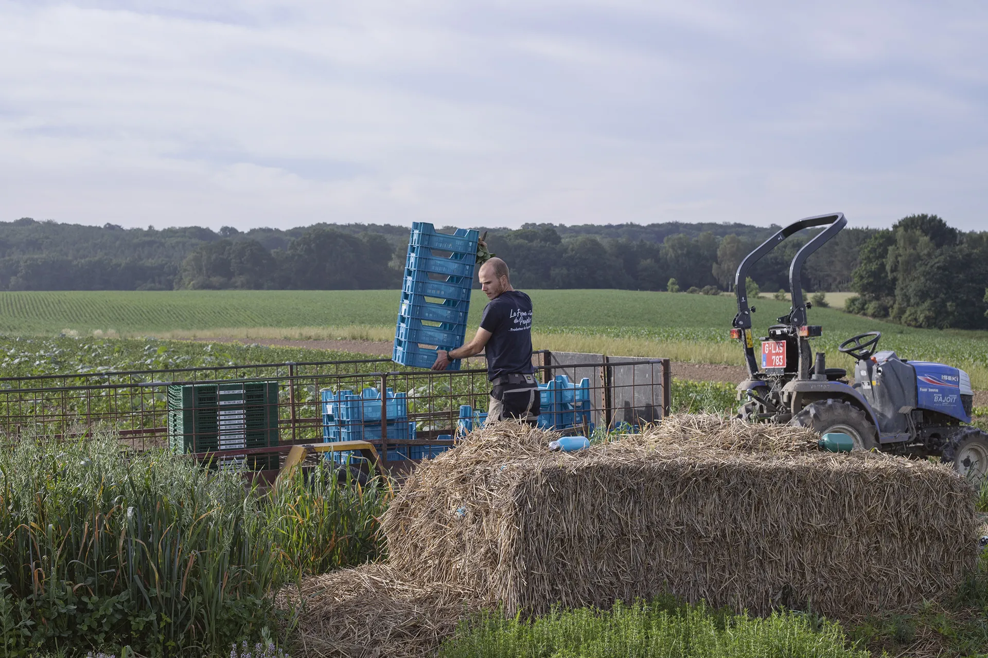 Une ferme maraîchère bio, en amélioration continue...